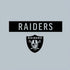 NFL Las Vegas Raiders Silver Performance Series Nintendo 2DS XL (2017) Skin